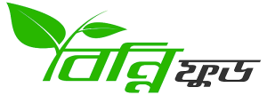 Binni-Food-Logo
